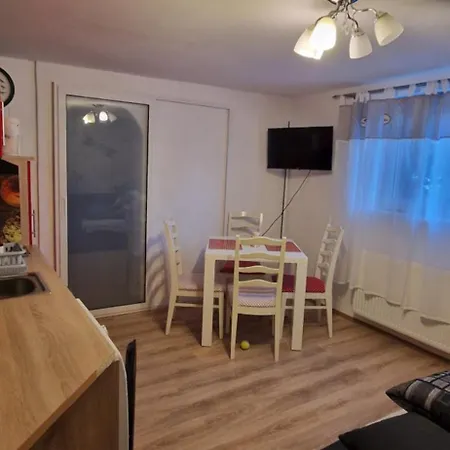 Orchidee 2 Radolfzell am Bodensee